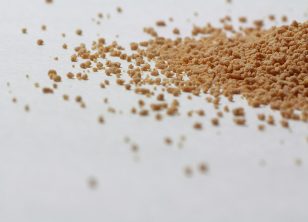 板藍(lán)根顆粒